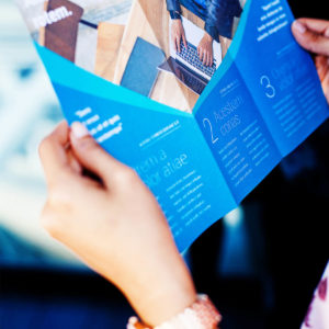 Brochure Design - Trifold